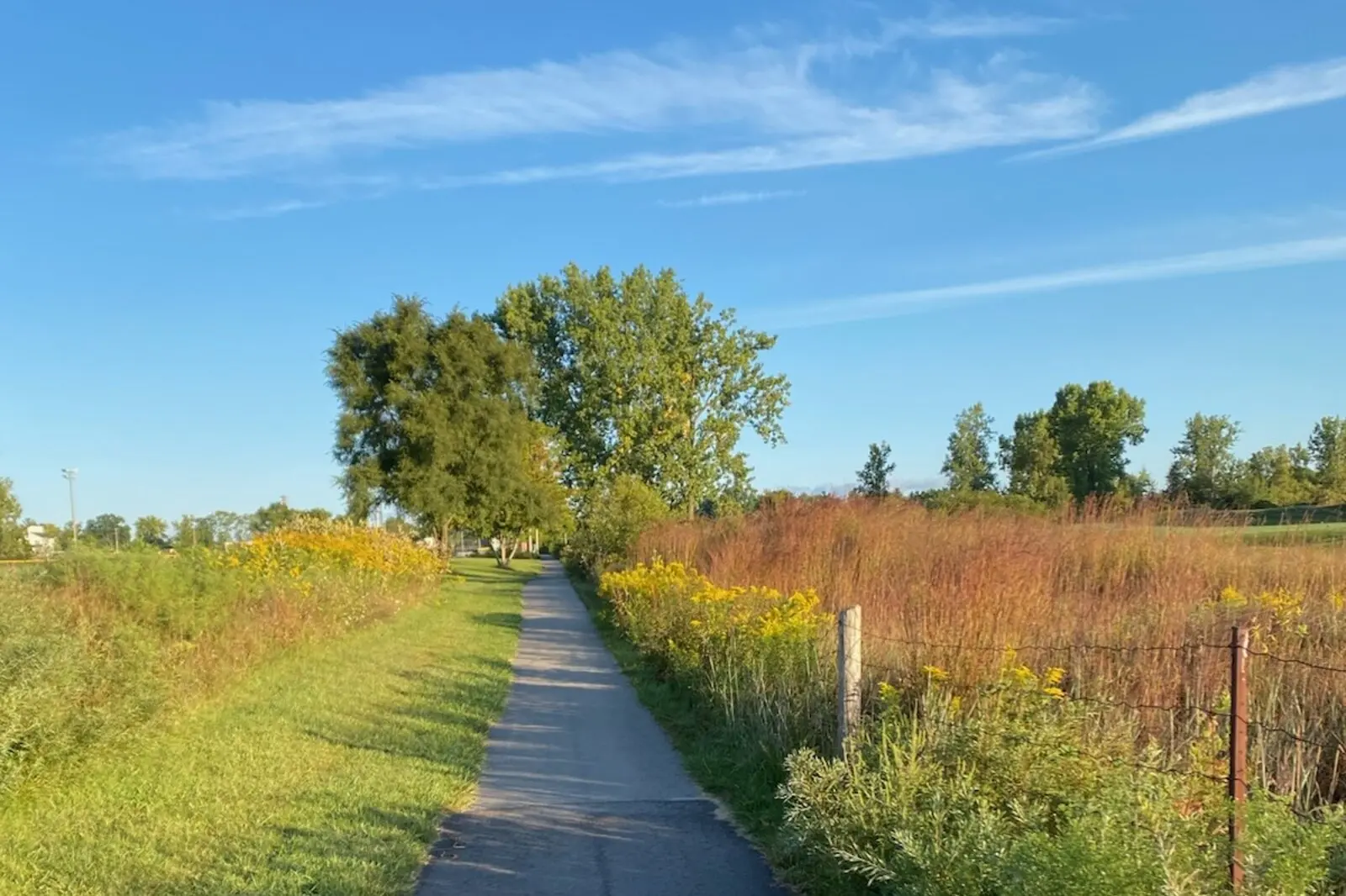 A paved trail through a golden autumn meadow